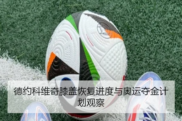 德约科维奇膝盖恢复进度与奥运夺金计划观察 | aiyouxi tiyu